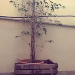Don Moustache Boutique Hostel