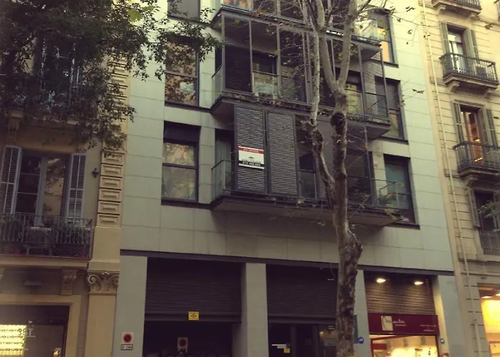 Don Moustache Boutique * ברצלונה